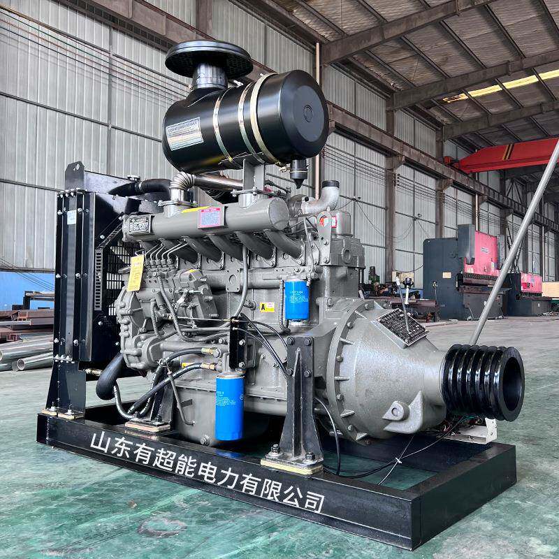 /柴油发/机固定动力XIS单缸双缸2810动0/5001000千瓦船用发电机