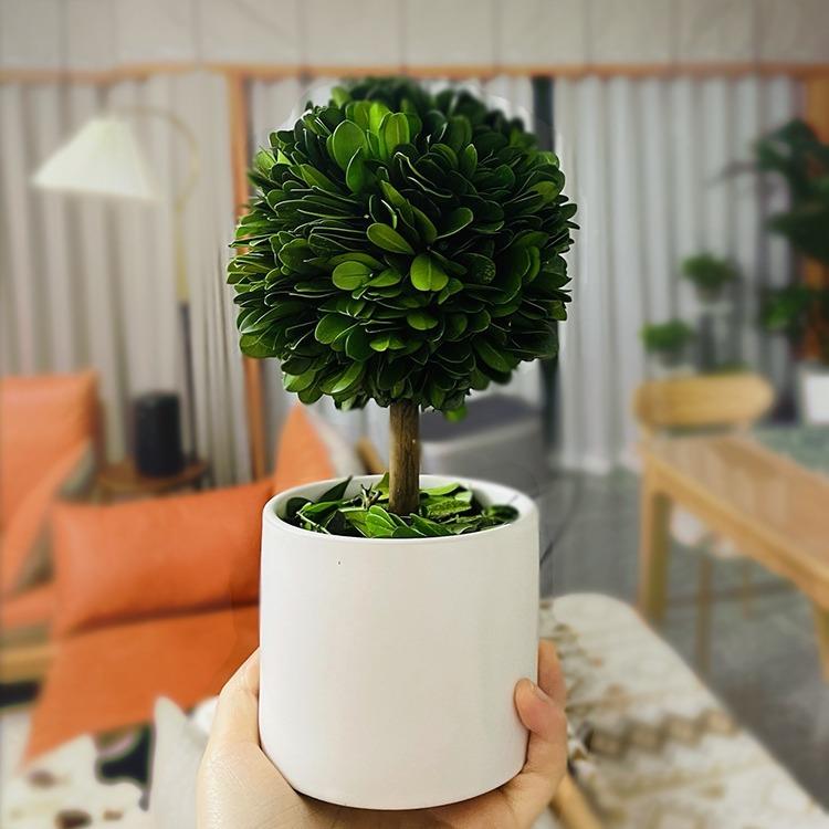 办公室桌面绪装饰花盆植家物厅居316客玄关饰品情稳定小摆件