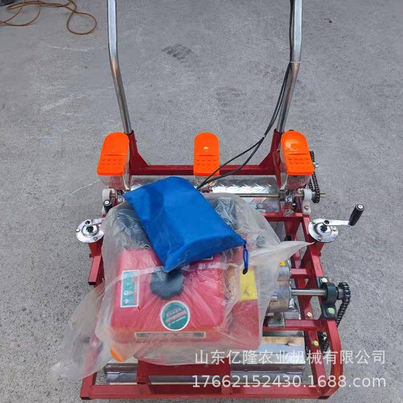 yl-bzj上萝卜油菜精播机免间苗大韭葱菜育垄苗机胡藜麦高粱播种机