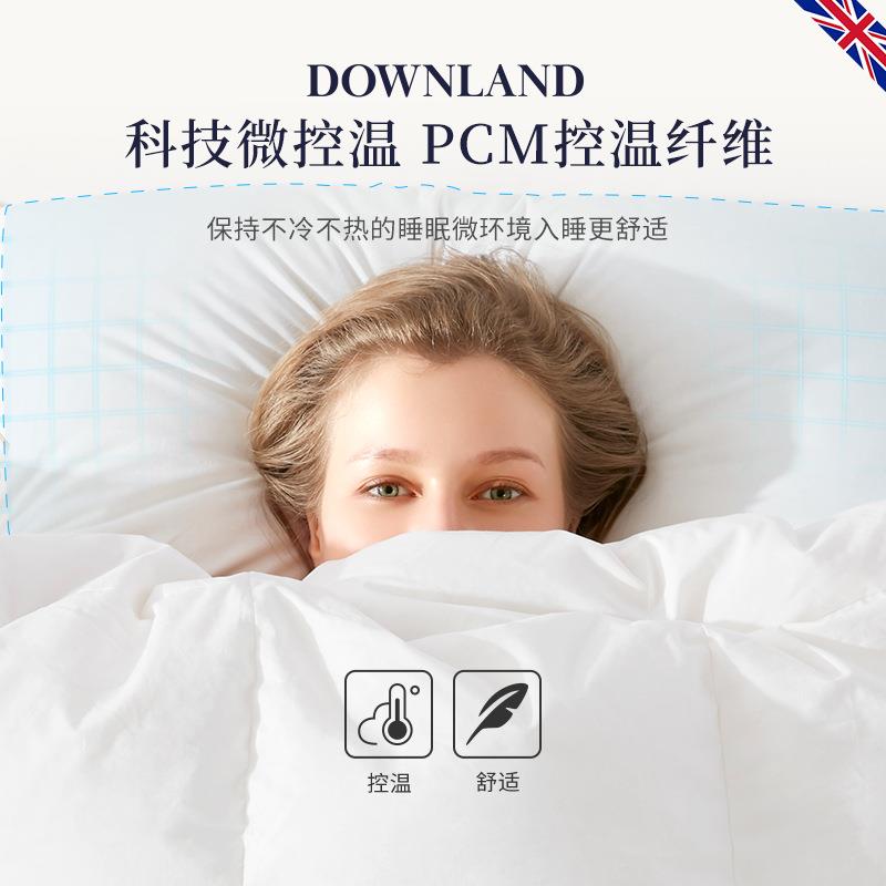 D助O枕WNL枕AND95白鹅绒乳胶头无品牌/护颈睡眠枕羽绒枕鹅绒枕芯