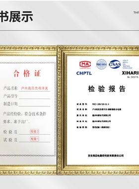 坤FN1212RD125手动78710KV户-内高压负荷开1关FKN2-1溥2KV630A