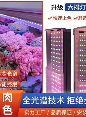 补植物之光多RY-T206P肉光灯上色光谱全多芯LED植长物生灯