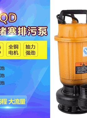 厂家水泵220V家微型抽井水化粪污池排污泵深抽DSK水泵潜水用泵