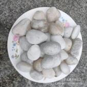 白精抛光鹅色石 3Cm日式 园林MTU枯山水卵砾石庭院造2景水洗石灰色