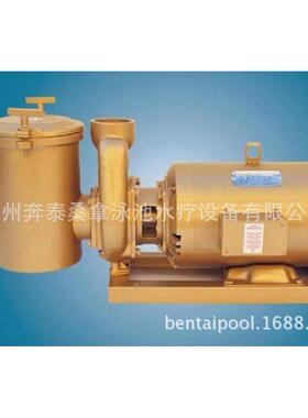 美国LEESON铜泵 利森铜泵 泳池过滤循环铜泵 泳池铜泵 5HP/380V