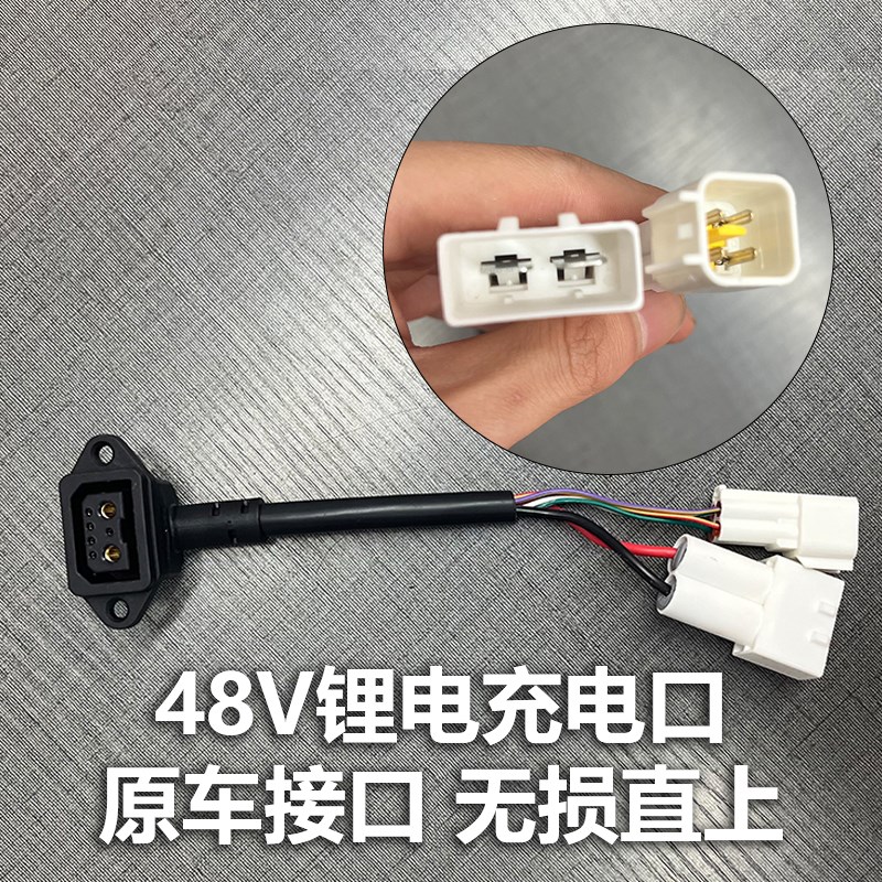 适用九号电动车2+5老国标锂电池充电接口充电线锂电连接线电源线