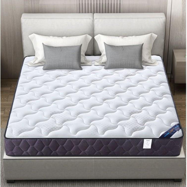 弹席梦思簧人床垫20cm厚家用乳胶椰棕出租房硬1.8米1.5YCH双软床