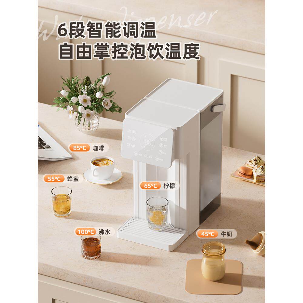 即热型小型新款饮迷你网红台式水机家用高档电水烧壶GJC茶吧机式