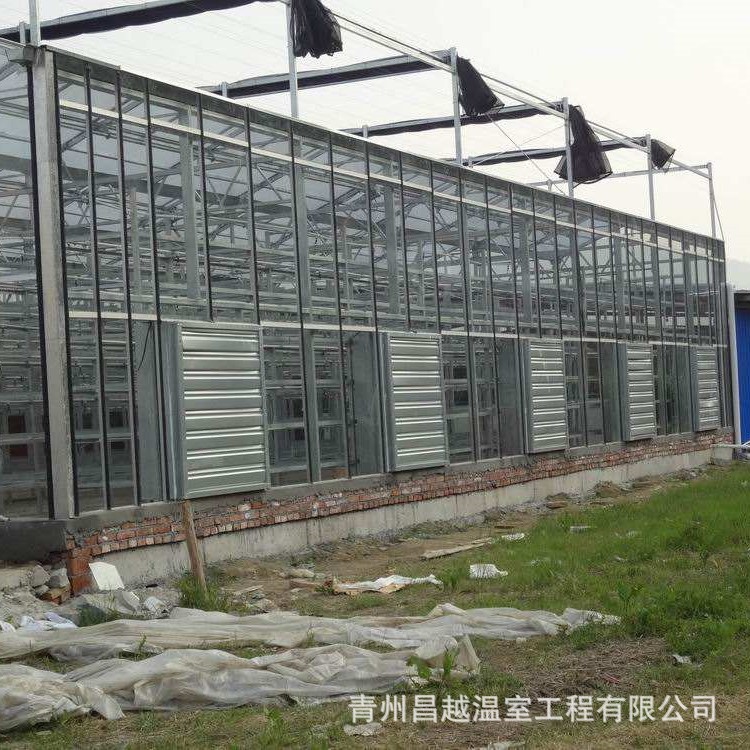 文洛式玻璃温室温室施工现场种植草莓蓝莓种植工程玻璃纸能温室