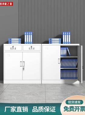 办公铁皮FSS文件柜矮物柜储柜带锁抽屉档案柜柜财务资料柜家用收