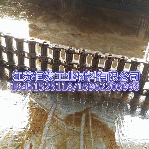 精密滚子链条32B-2双排传动