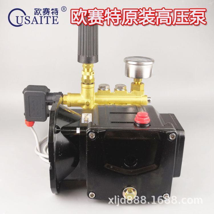 欧赛特/Q高压洗机L-1511/清8441513型洗车机/泵装泵头总原成配件