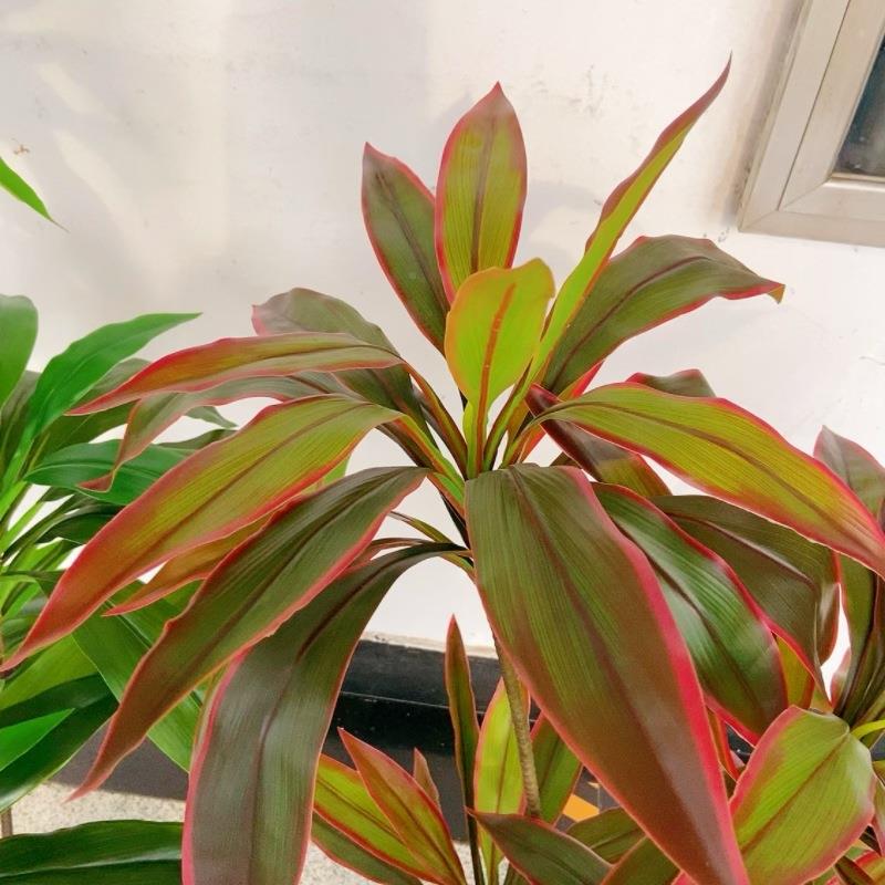 工厂景店仿真盆栽天娥89119-12小仿绒朱蕉真绿植树造庭院拍攝道具