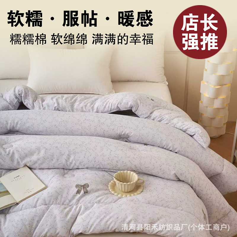 冬季加厚磨毛羽丝绵太空被