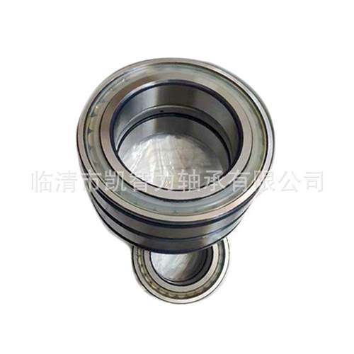 N销S厂L045012PPNF5013SL045014SL549045015双列满圆柱装滚子轴承