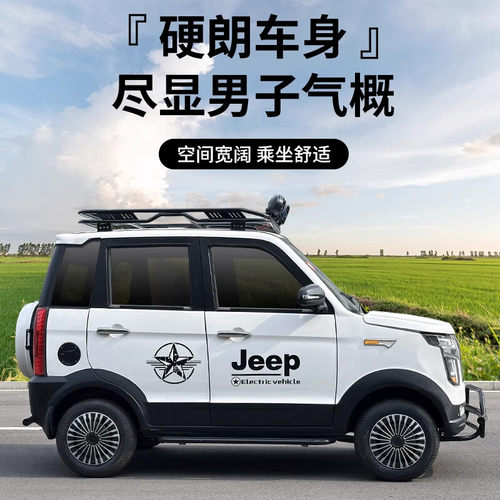 电动四轮车新能源汽车油电两用