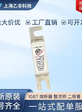 巴斯曼熔断器 170M1363 170M1364 170M1365 170M1366 170M1367