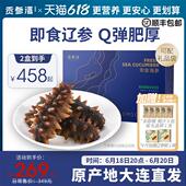 贡参湾海参即食海参礼盒底播野生刺参开袋速食鲜食蒸大连辽参年货