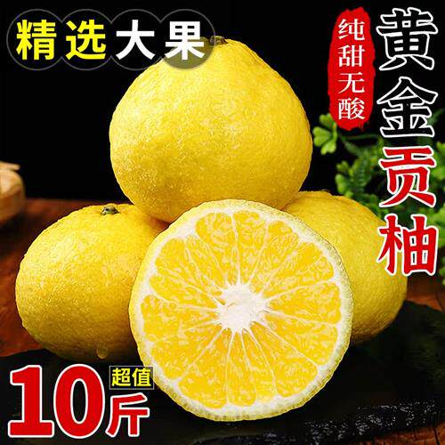 正宗湖南黄金贡柚10斤新鲜柚子水果当季黄肉柚子贡柚蜜柚大果包邮