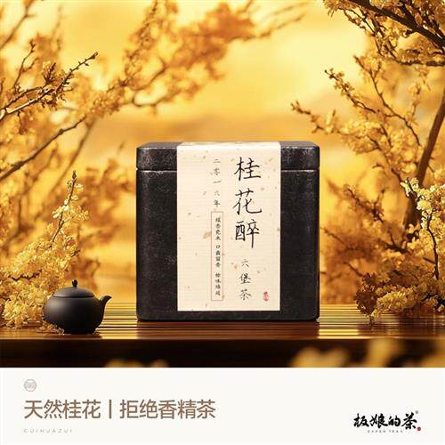 暖胃桂花香甜润 2016年广西梧州六堡桂花醉黑茶 罐装熟茶 陈化8年