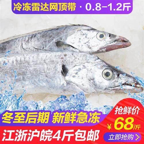 带鱼舟山雷达网顶带大带鱼新鲜东海冷冻刀鱼海鱼海鲜水产