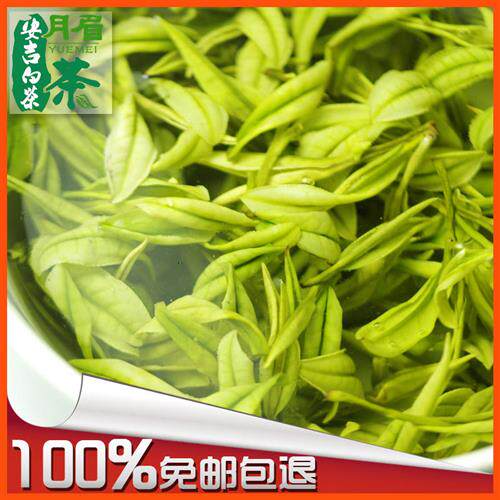 安吉白茶25年新茶上市正宗明前特级A月眉春茶叶绿茶溪龙黄杜产区