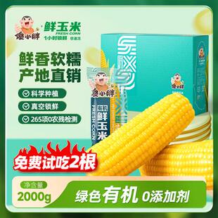 内蒙古巴彦淖尔傻小胖有机玉米新鲜即食真空糯礼盒
