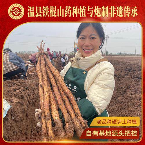 牛卫卫非遗垆土铁棍山药5斤整箱新鲜现挖正宗河南焦作温县怀山药