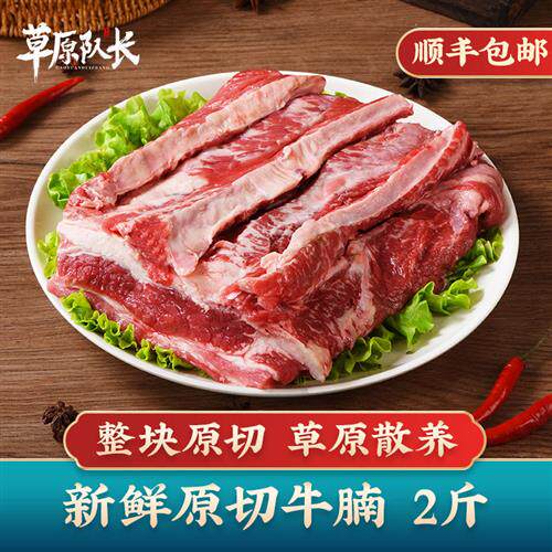 草原队长 牛腩新鲜清真原切牛肉整块冷冻烧烤食材商用 1000g