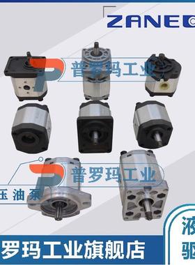 齿轮油泵2ZAPAOD2ZAPB0DB1B2Q1Q2Q0-T0E0/COUO/T1F0