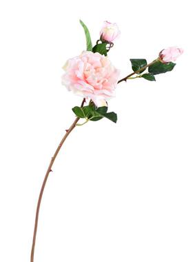 仿真玫瑰花  家居商场婚庆装饰假花 档仿真玫瑰橱窗陈列