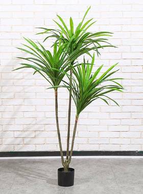 仿真真植物工艺龙血铁树绿色植被家栽具装饰办桌面仿盆摆件公DPZ