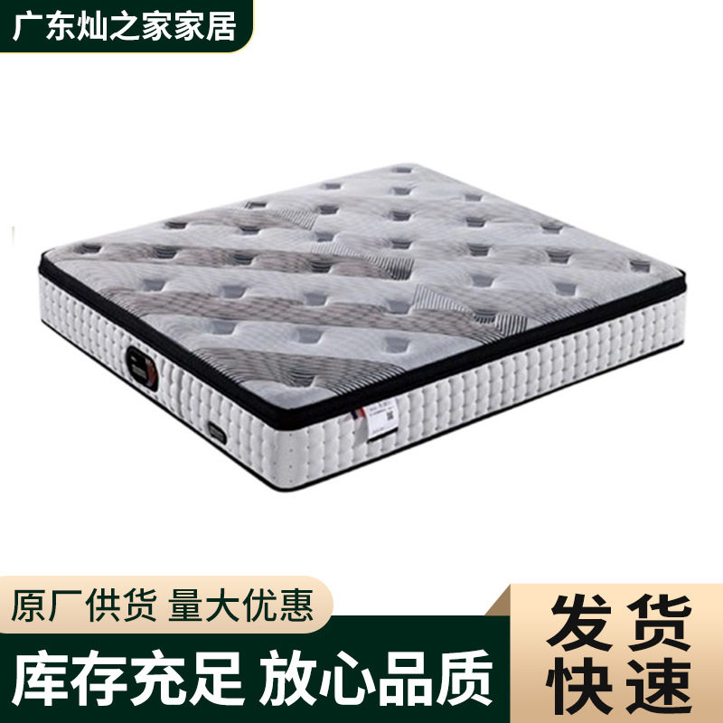 新品软垫席梦思床垫家用卧室弹簧床垫租房乳胶床垫20cm款式多样