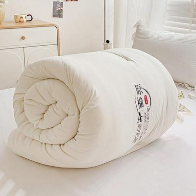 秋南加通直供原棉大豆被A类针织棉豆被芯厚酒店被大子冬被春被学