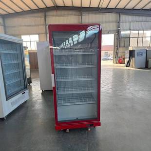 大单门啤酒柜酒吧冷示藏展柜商907用箱超市保鲜柜冰柜门饮冰料三