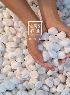 质品之选|汉白白玉景观鹅卵石润光608滑尺寸方正匀称
