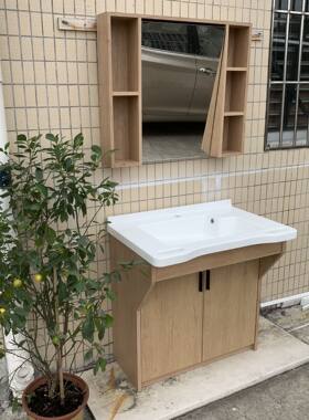 800mm落地式浴室柜全铝合金带扶手养老院专用也适合坐轮椅老者