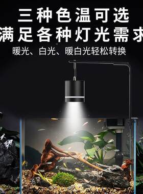 鱼灯缸led筒缸灯原45A4xK4r生流缸全光谱水草灯爆藻鱼观溪赏鱼灯