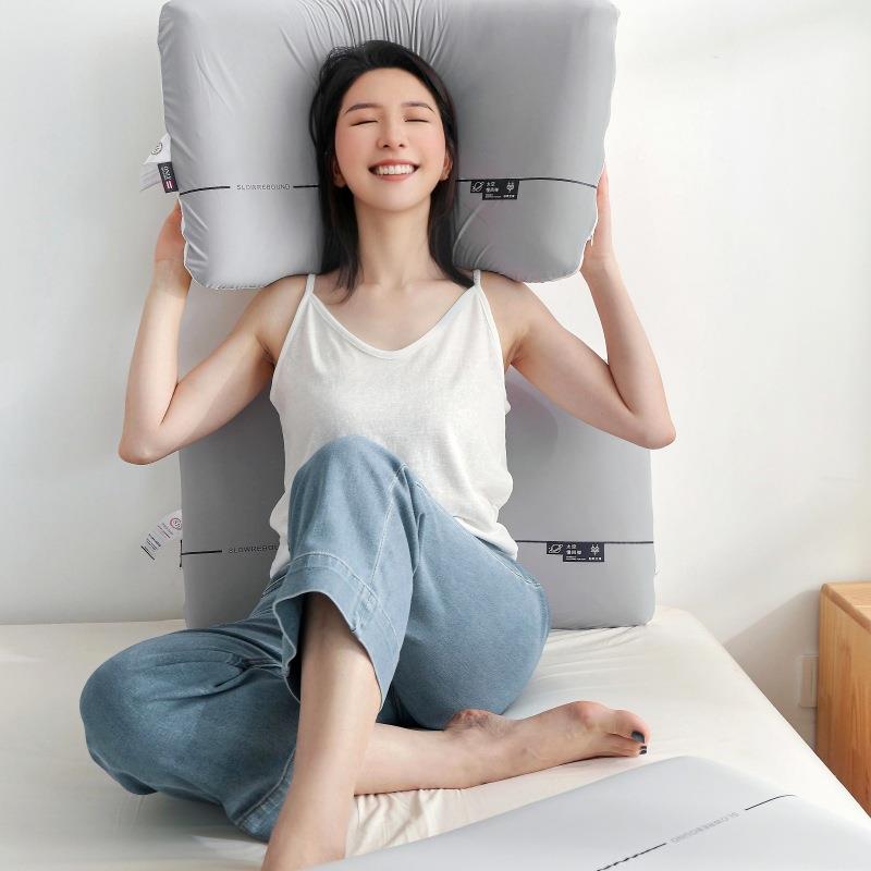 唯品爱RNI24新记太空记忆枕人慢回弹枕头忆绵枕芯枕款头学生成人