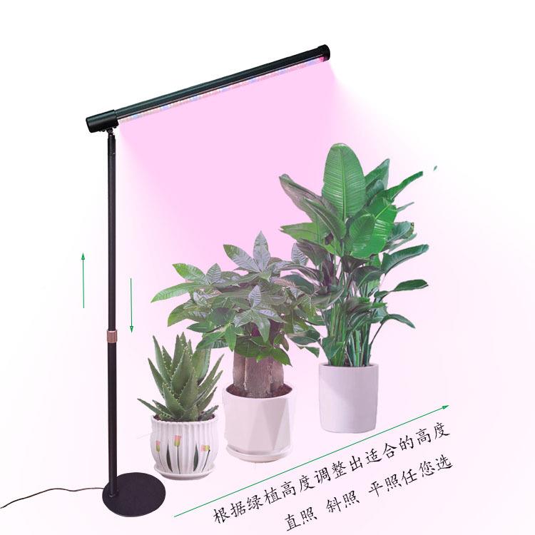 LED桌面绿大圆折叠伸缩植生长补光SVN灯多肉物植补光灯12V全盘光