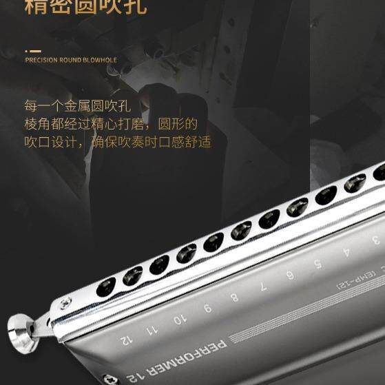 EA鼎STTOP东方PEC铝格1成2孔48音C调半音阶口琴专业奏人演练习EMP
