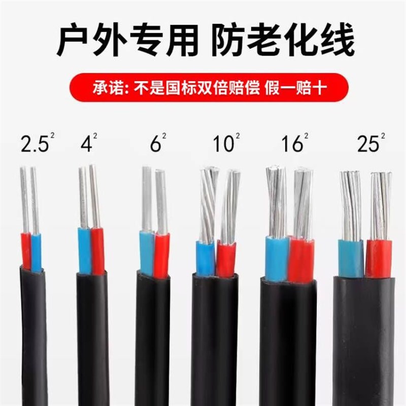 国标2芯家用户外电缆线电线46101625平方双芯铝线护套线