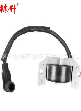 林升21171-7034 21171-7001 点火线圈FH381V FH430V FH480V FH541