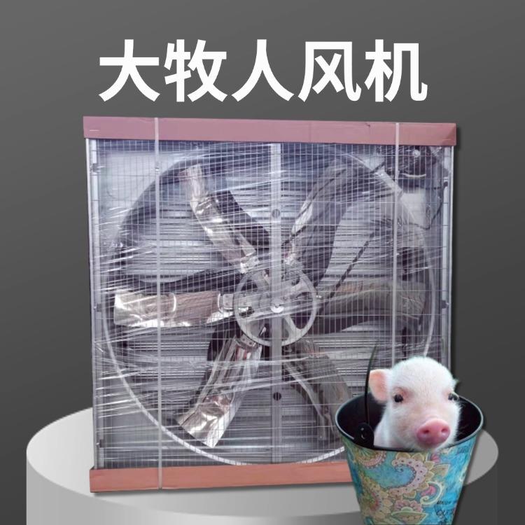 排风机工业级负压风机养猪热场降换温气气散IZ抽风机