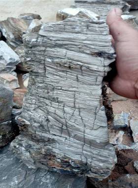 型千层石用鱼种缸造景各型号大假用千层石鹅山卵2023.11石花盆各