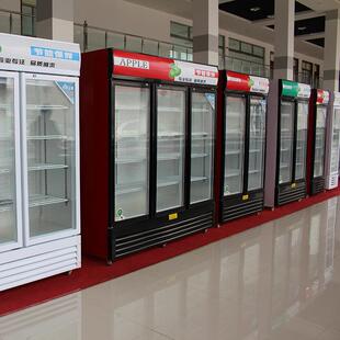 商用冰柜保冷鲜藏柜立式酒吧展示柜箱商用便饮利店三629门料啤酒