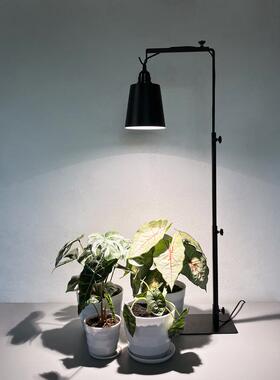 植补光灯支架23736立式块根植物架子桌兰面绿植龟甲虫龙龙舌物造