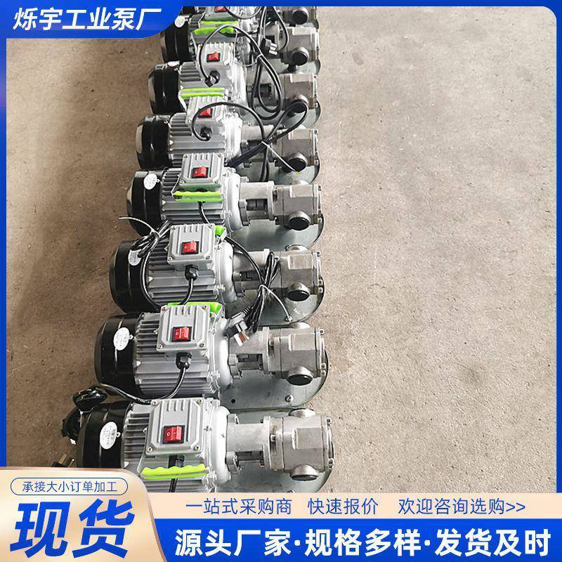 WCB30小型铸电齿轮泵携式手提抽油泵微铁型齿87090轮动便油泵