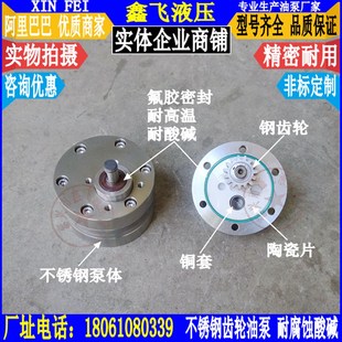BNS16不锈钢齿轮泵CB 防腐泵CB B16油泵化工泵 B16不锈钢泵 CBA