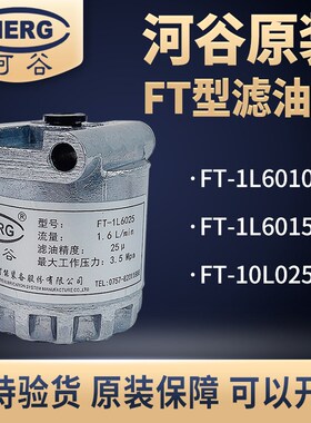 原装正品HERG河谷FT型滤油器FT-1L6025油泵稀油过滤器 FT-1L6010